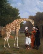 Jacques-Laurent Agasse The Nuian Giraffe (mk25) oil on canvas